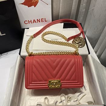 Chanel Le Boi Chervon Classic Bag In Pink 67086 
