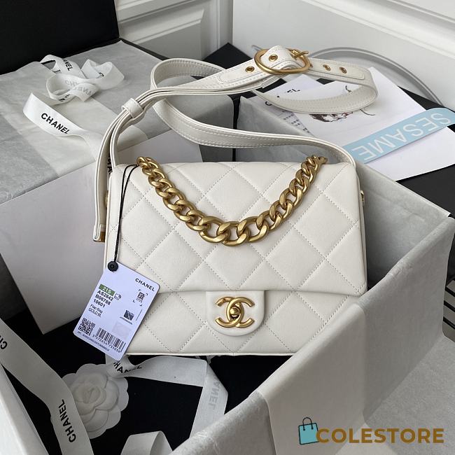 Chanel Classic Handbag AS2842  - 1