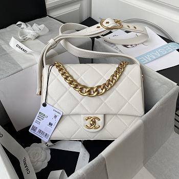Chanel Classic Handbag AS2842 