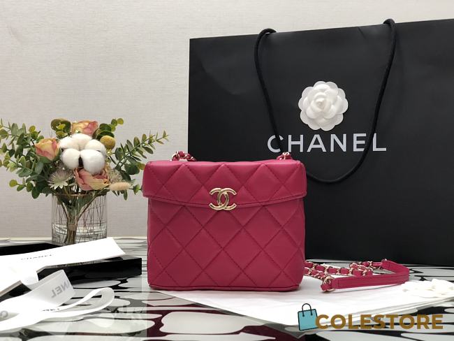 Chanel Small Box Bag In Rose AS2877  - 1