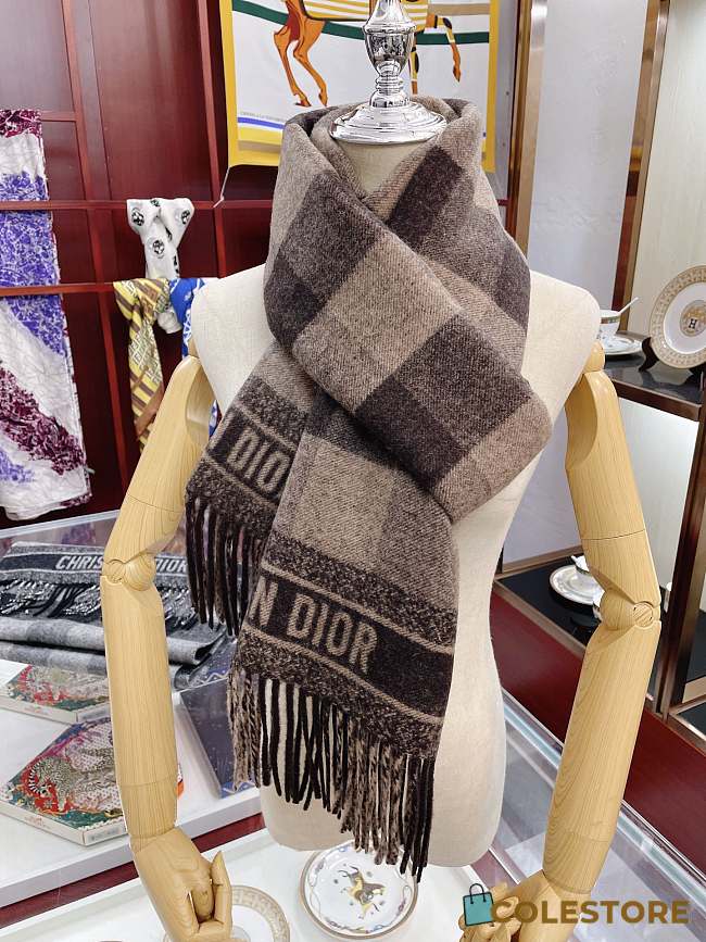  Check'N'Dior Scarf  - 1