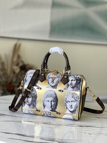 Louis Vuitton Speedy Bandoulière 25 Handbag In Golden Metallic Leather