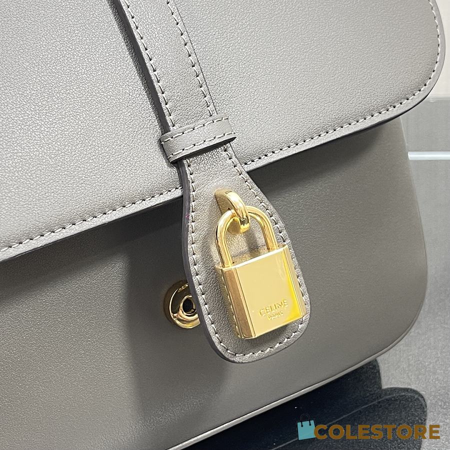 Celine Medium Tabou Shoulder Bag in Gray