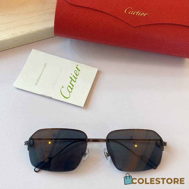 Cartier Custom C Decor CT0113 - 1