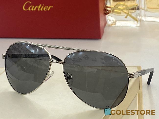 Cartier Sunglasses CT0023 - 1