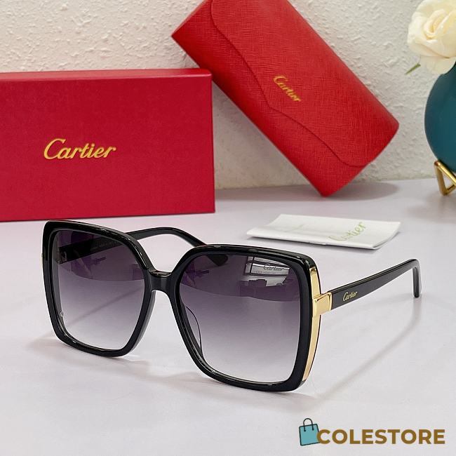 Cartier Sunglasses CT0309 - 1
