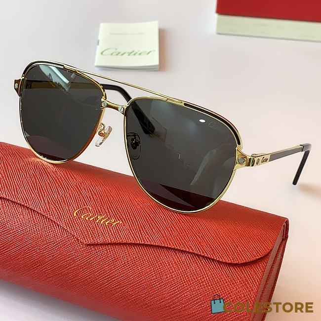 Cartier Sunglasses CT0192S  - 1