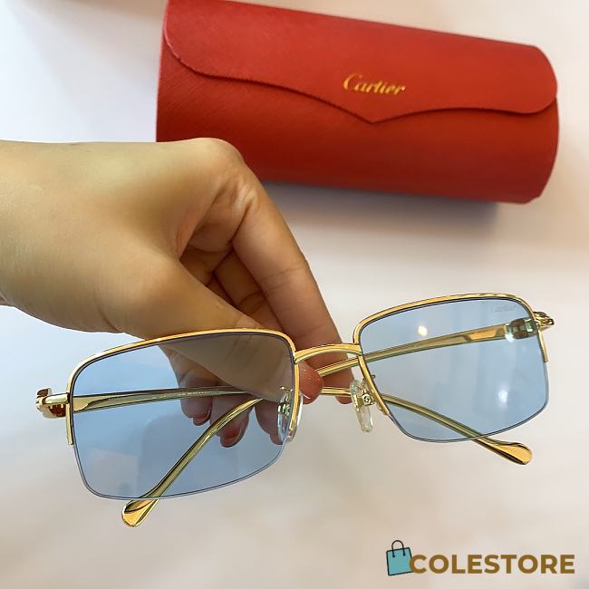 Cartier Sunglasses CT0130S - 1