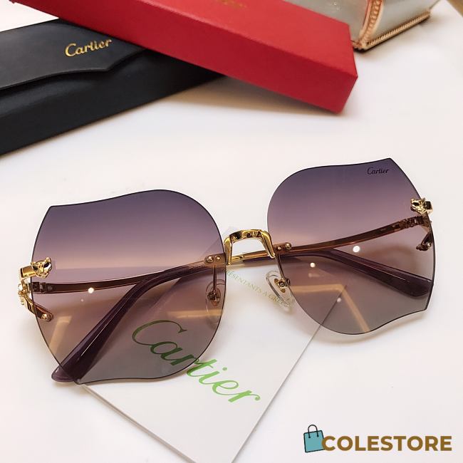Cartier Sunglasses CA5899 - 1