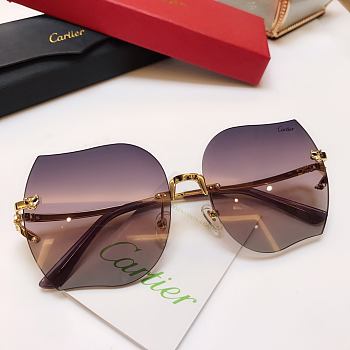 Cartier Sunglasses CA5899