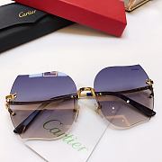 Cartier Sunglasses CA5899 - 6