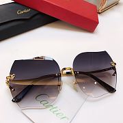 Cartier Sunglasses CA5899 - 5