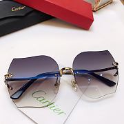 Cartier Sunglasses CA5899 - 3