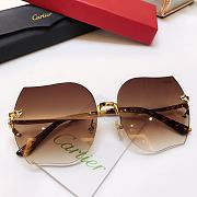 Cartier Sunglasses CA5899 - 2