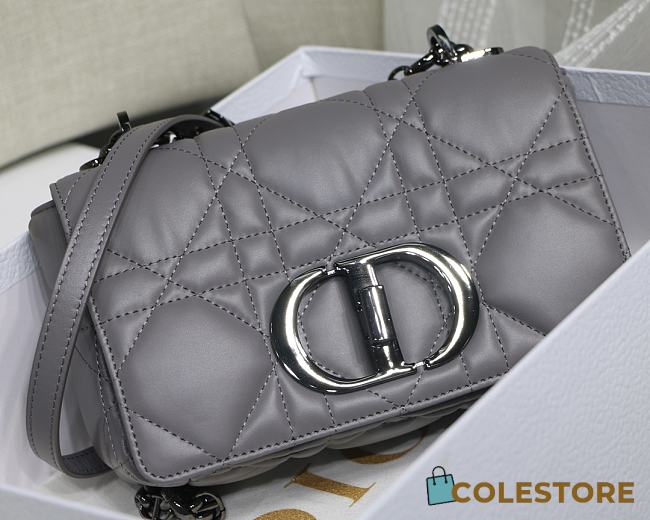 Dior Caro Small Bag Cannage Calfskin Silver Hardware  - 1
