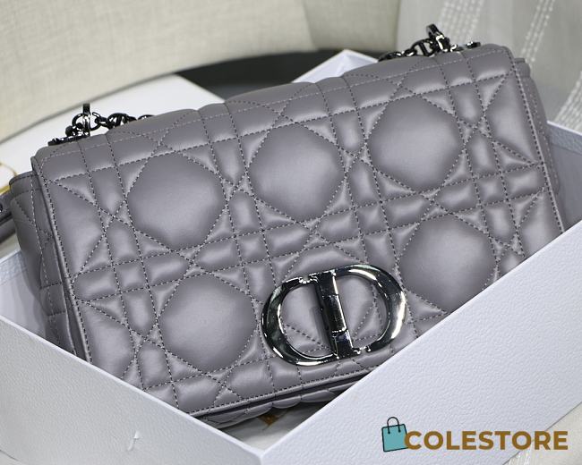 Dior Caro Medium Bag Cannage Calfskin Silver Hardware Size 28cm - 1