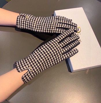 Dior Wool Gloves 