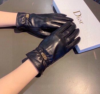 Dior Gloves Logo 