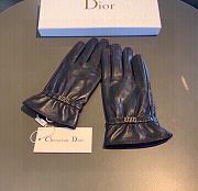 Dior Gloves Logo  - 3