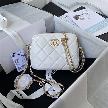 Chanel Mini Camera Case Light White AS2856 18x14x7cm