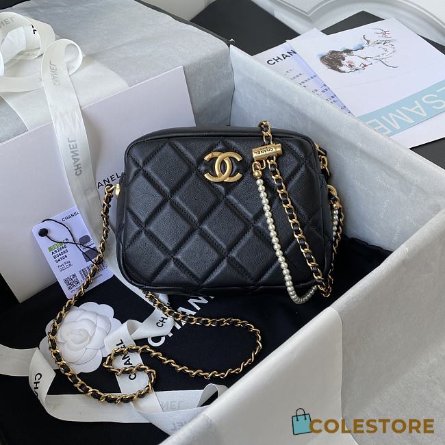 Chanel Mini Camera Case Leather Imitation Pearls Light Black AS2856 18x14x7cm - 1