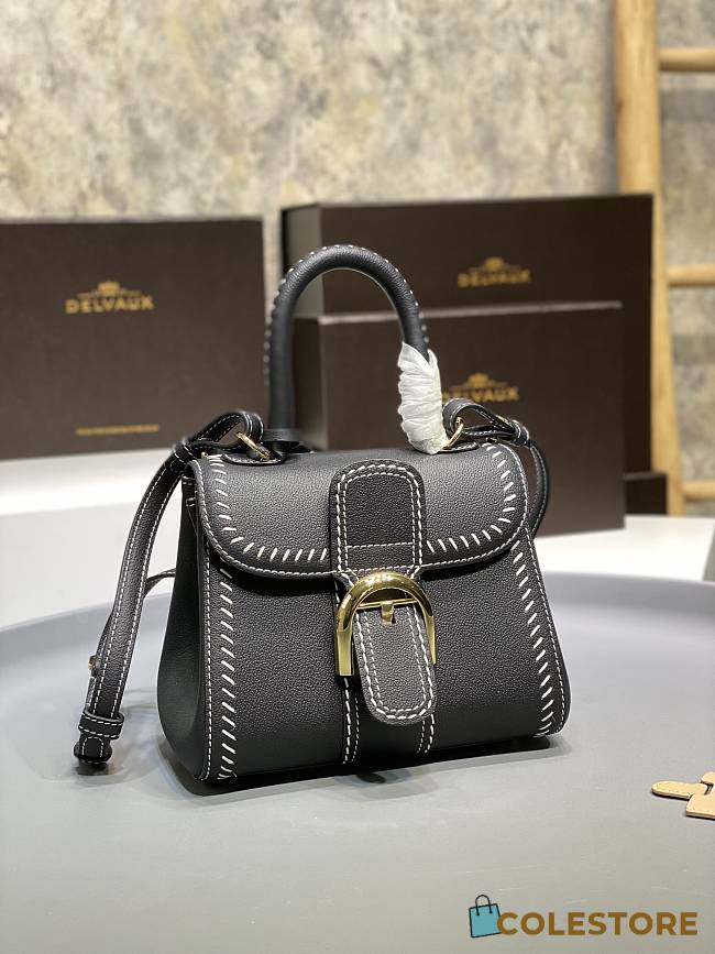 Delvaux Brillant Mini Surpiqué Leather Black 20x10x16cm - 1