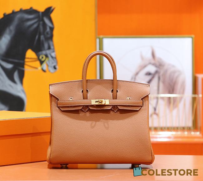 Colestore Hermes Birkin 25 Gold Harware - 1