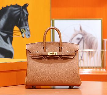 Colestore Hermes Birkin 25 Gold Harware