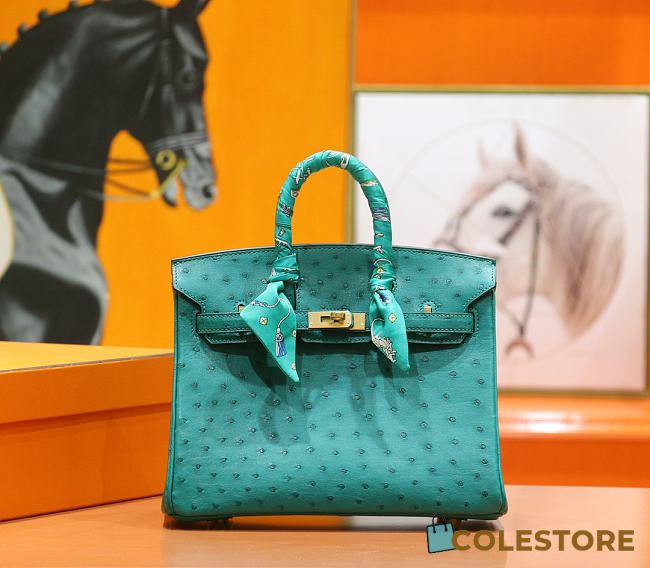 Hermes Birkin Ostrich Leather - 1