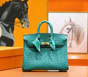 Hermes Birkin Ostrich Leather - 1