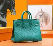 Hermes Birkin Ostrich Leather - 5