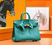 Hermes Birkin Ostrich Leather - 3