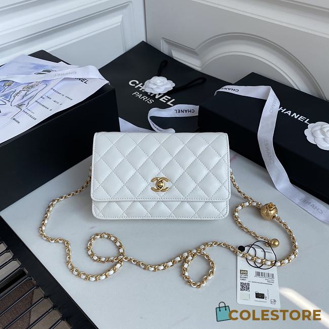 Chanel Wallet On Chain Lambskin Size 19cm - 1