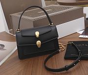 Alexander Wang x Bvlgari Belt Bag 18.5cm - 1