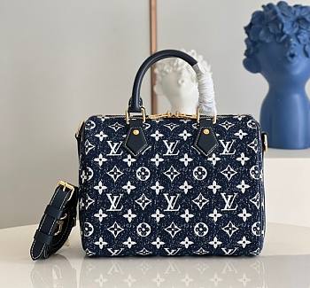 Louis Vuitton Speedy Medium Handbag M59631 25cm