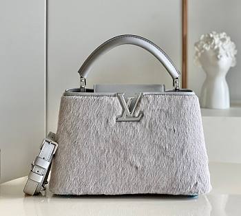 Louis Vuitton CapucinesTeddy Fleece Grey M59267 27cm