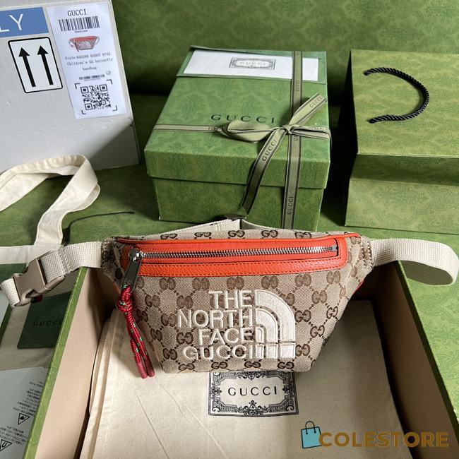 Gucci The North Face Body Bag Brown Nylon 22cm - 1