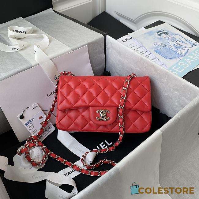 chanel classic 20cm