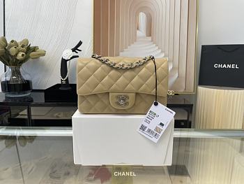 Chanel Mini Classic Flap Bag Leather Silver-tone Metal Beige Size 20cm