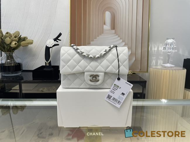 Chanel Mini Flap Bag Quilted Leather Siver-tone Metal White 20cm - 1