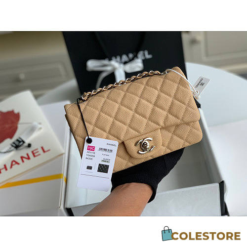 Chanel Classic Flap Bag Caviar Beige In Silver Hardware A01116 Size 20cm - 1