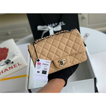 Chanel Classic Flap Bag Caviar Beige In Silver Hardware A01116 Size 20cm