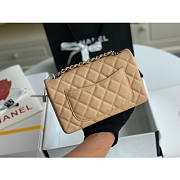 Chanel Classic Flap Bag Caviar Beige In Silver Hardware A01116 Size 20cm - 3