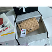 Chanel Classic Flap Bag Caviar Beige In Silver Hardware A01116 Size 20cm - 6
