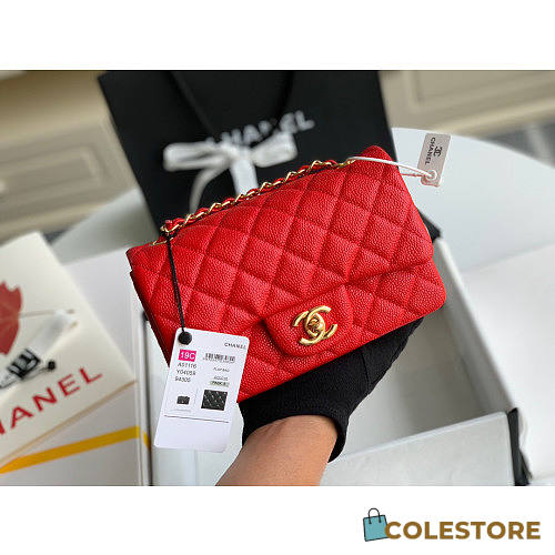 Chanel Classic Flap Bag Caviar Red In Silver Hardware A01116 Size 20cm - 1
