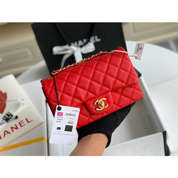 Chanel Classic Flap Bag Caviar Red In Silver Hardware A01116 Size 20cm