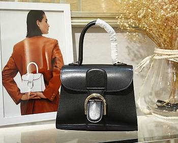 Delvaux Brilliant Mini In Black Box Calf Size 20x12x15cm