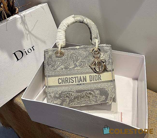 Dior Lady Medium White Toile de Jouy Reverse Embroidery Size 24cm - 1