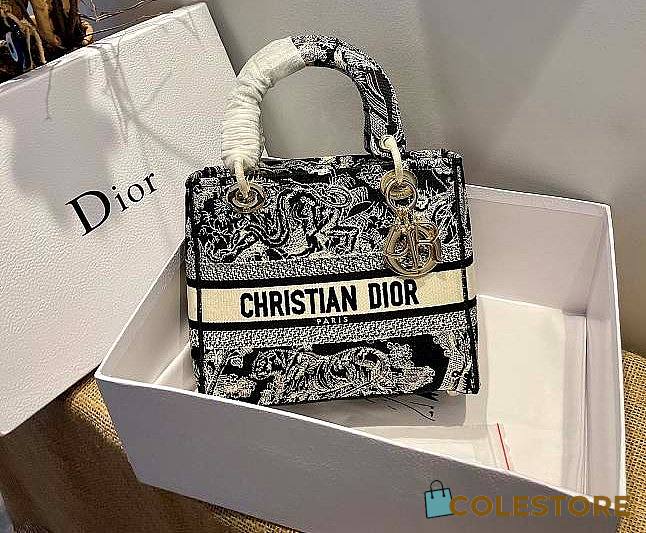 Dior Lady Medium Blue Toile de Jouy Reverse Embroidery Size 24cm - 1
