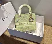 Dior Medium Lady D-lite Green Tiger Embroidery Size 24cm - 1